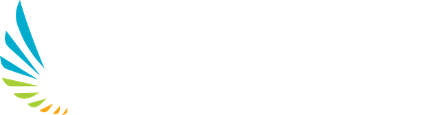 Dentrealmarket Logo